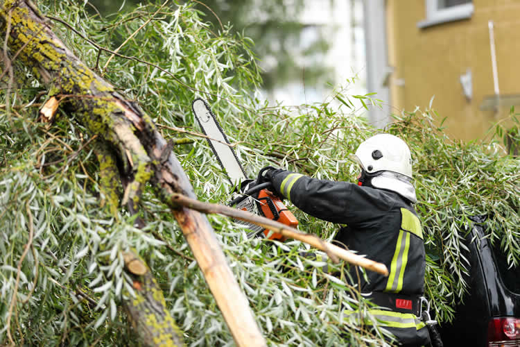 Firefighter cuts fallen tree with chainsaw