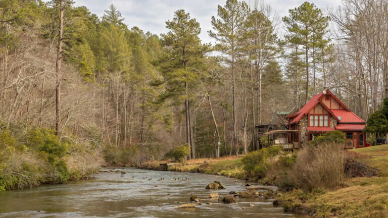 Red roof cabin beside river in forest