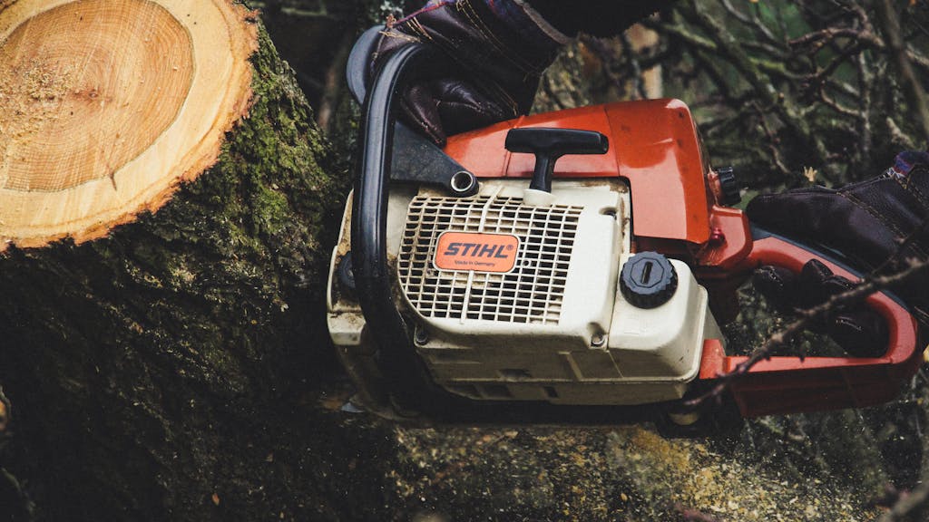Chainsaw cutting through a tree trunk