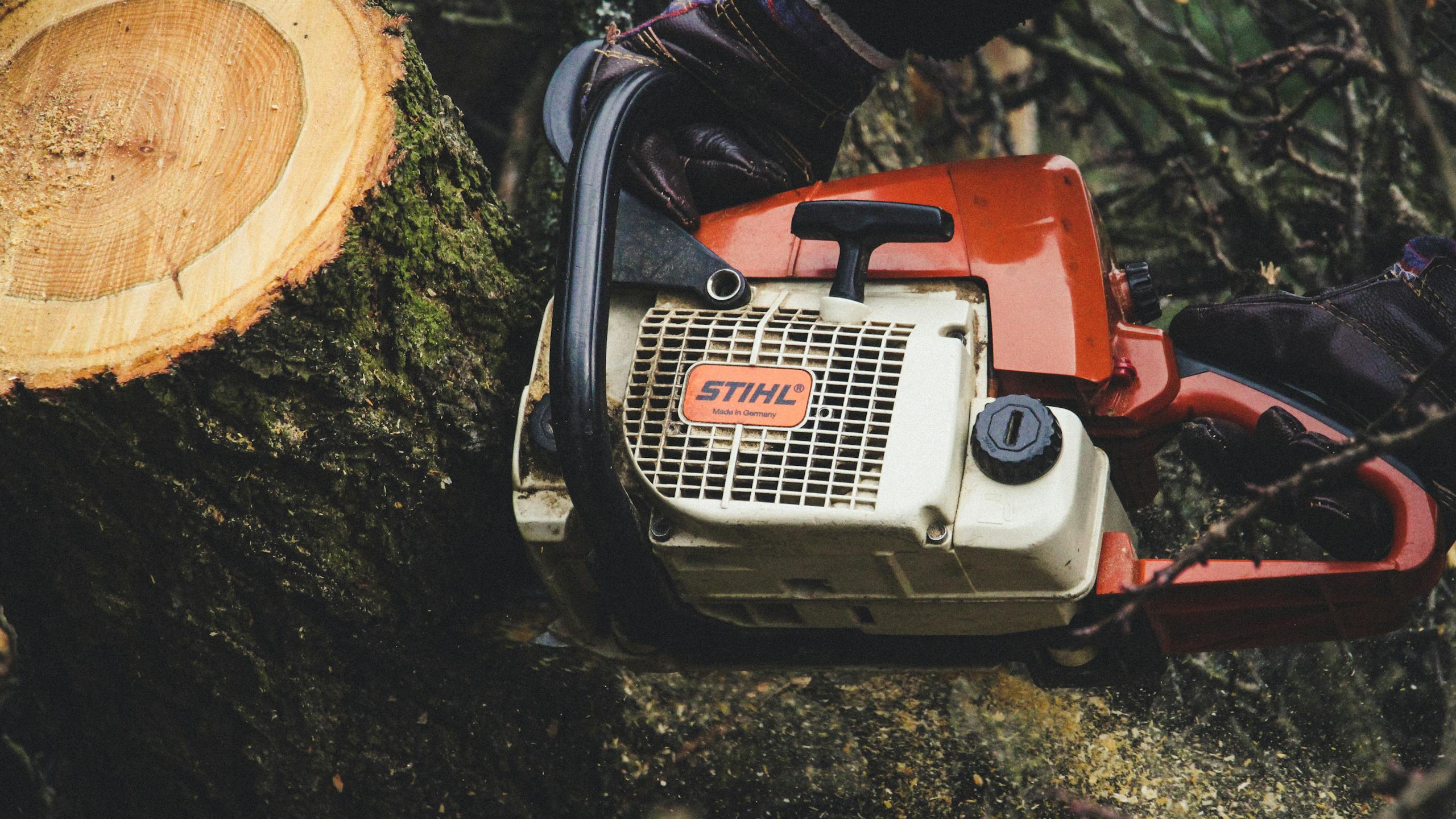 Chainsaw cutting through a tree trunk