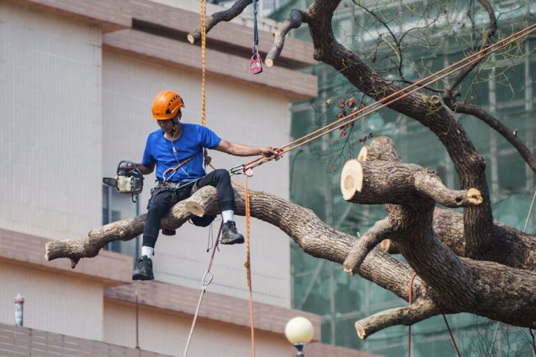 Arborist cutting tree branches with chainsaw